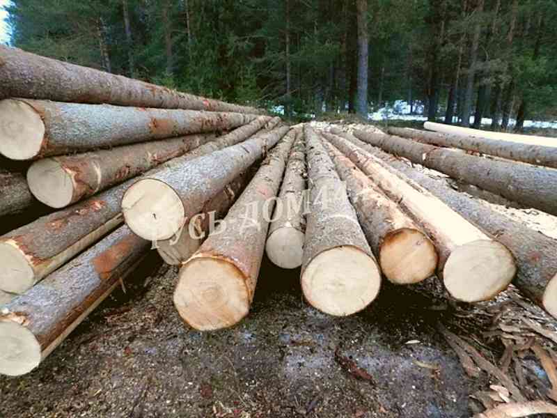 Производство РусьДом44 800-600ст.сайт2