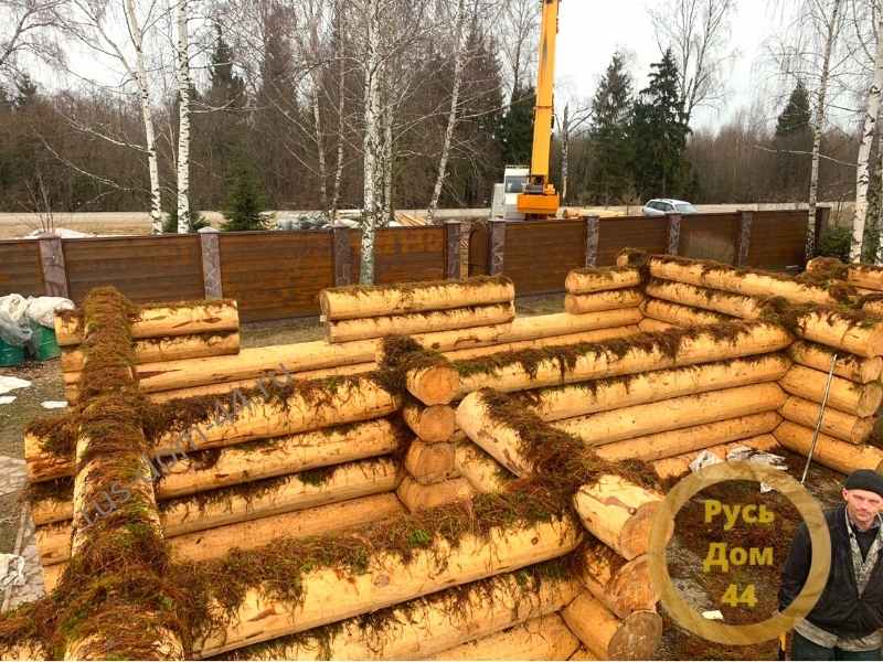 сборка на мох