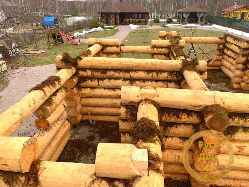 костромской мох в деле