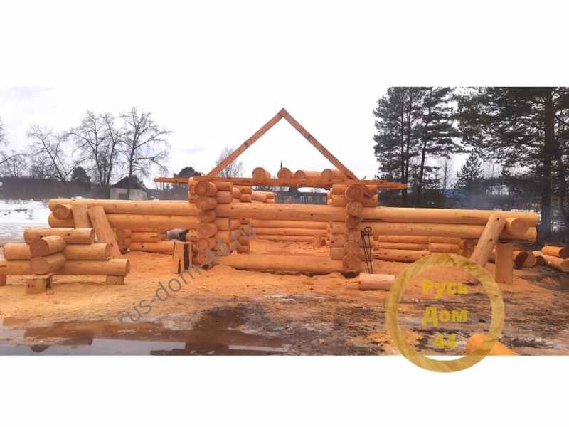 верхние венцы